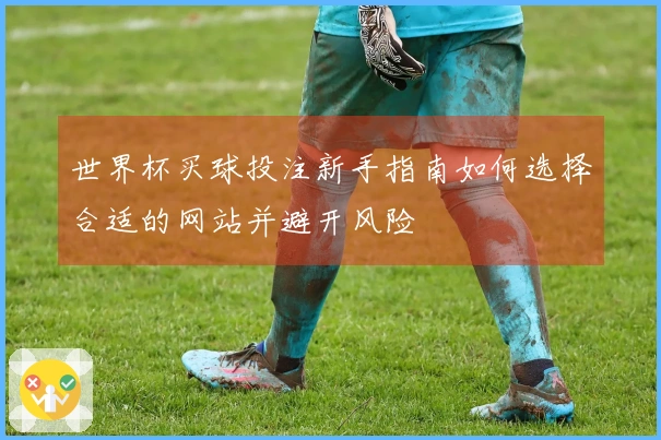 世界杯买球投注新手指南如何选择合适的网站并避开风险