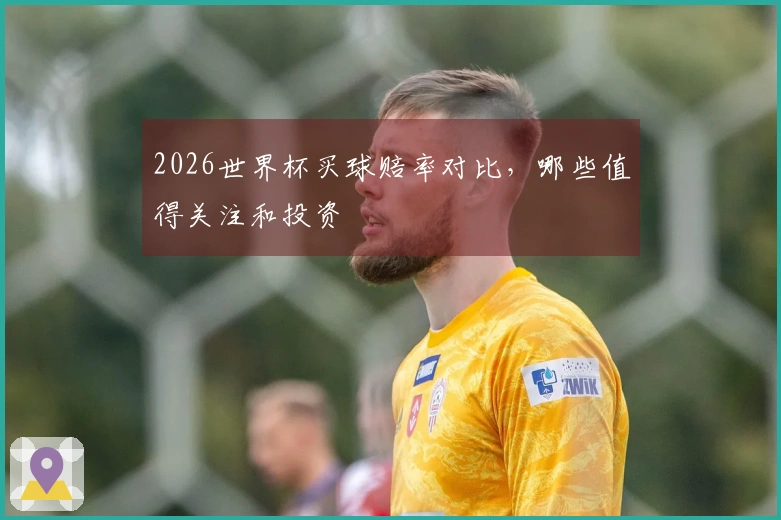 2026世界杯买球赔率对比，哪些值得关注和投资