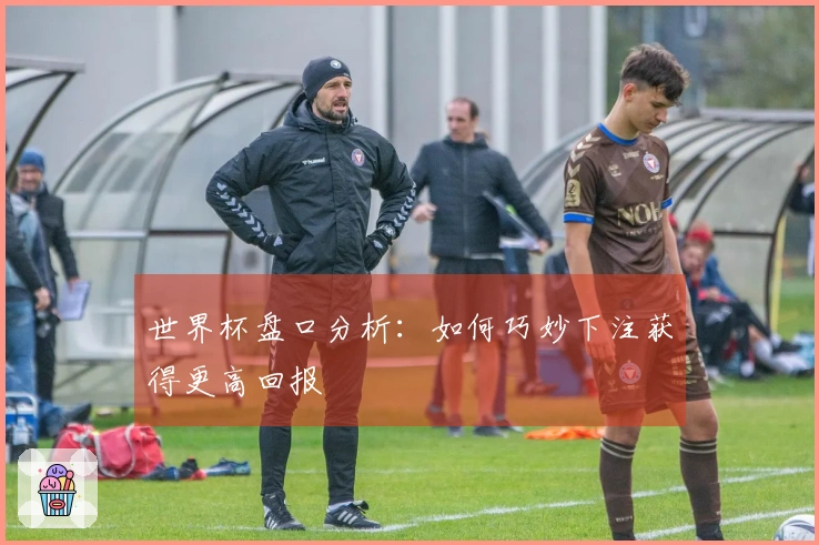 世界杯盘口分析:如何巧妙下注获得更高回报