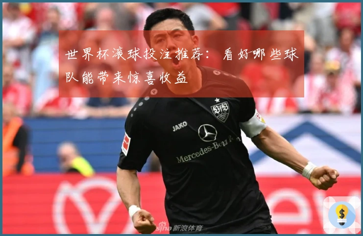 世界杯滚球投注推荐：看好哪些球队能带来惊喜收益