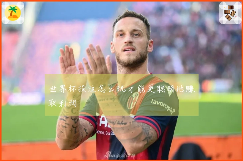 世界杯投注怎么玩才能更聪明地赚取利润